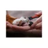 Hunde- und Katzen-Nagelschere mit Verschluss