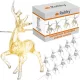 Weihnachts-Lichterkette – Rentier Ruhhy 24955