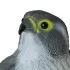 Vogelscheuche – Falke 23421