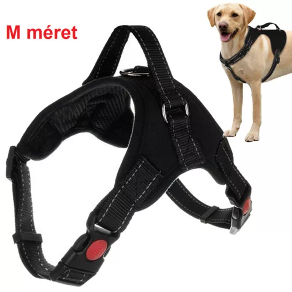 Atmungsaktives Hundegeschirr