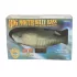Singender Fisch Wanddeko