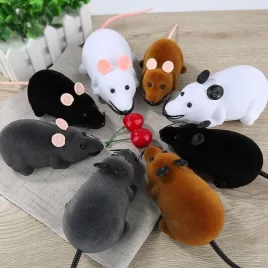 Katzenspiel, Mausspiel, ferngesteuerte Maus