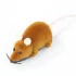 Katzenspiel, Mausspiel, ferngesteuerte Maus