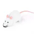 Katzenspiel, Mausspiel, ferngesteuerte Maus