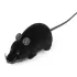 Katzenspiel, Mausspiel, ferngesteuerte Maus