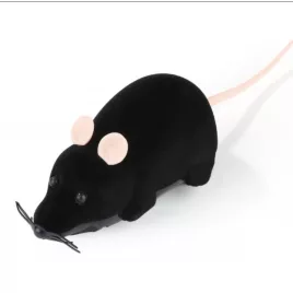 Katzenspiel, Mausspiel, ferngesteuerte Maus