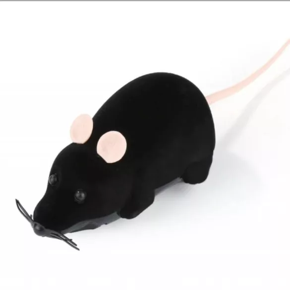 Katzenspiel, Mausspiel, ferngesteuerte Maus