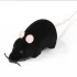 Katzenspiel, Mausspiel, ferngesteuerte Maus