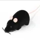 Katzenspiel, Mausspiel, ferngesteuerte Maus