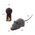 Katzenspiel, Mausspiel, ferngesteuerte Maus