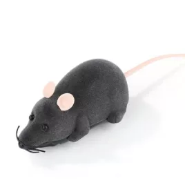 Katzenspiel, Mausspiel, ferngesteuerte Maus